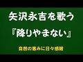 『降りやまない』/矢沢永吉を歌う_6165 by 自然の恵みに日々感謝