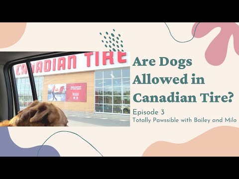 Are Dogs Allowed in Canadian Tire?