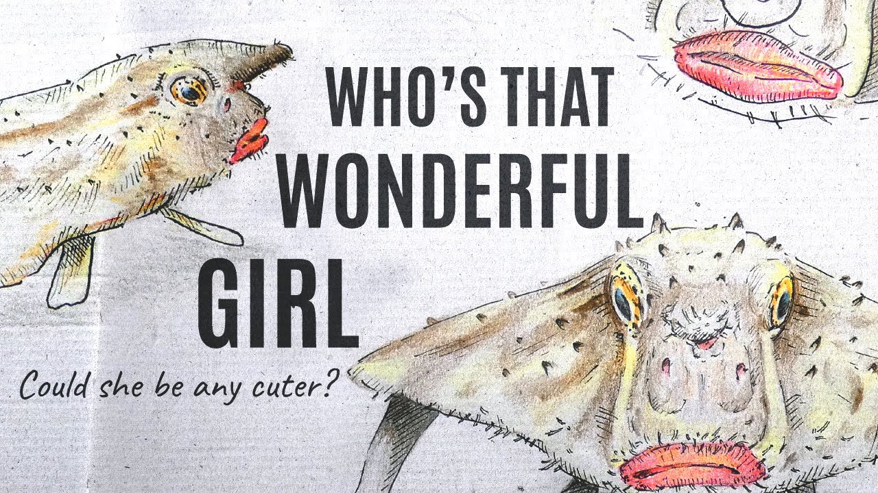 The Red-lipped Batfish - Prettiest Goblin in the Galápagos