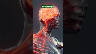 ඔයත නනදන ඉදද එක පරටම ගසසල ඇහරනවද?