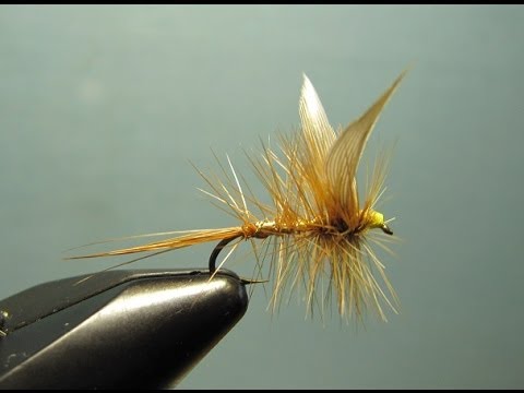 Wickham's fancy (mouche sèche - dry fly) - YouTube