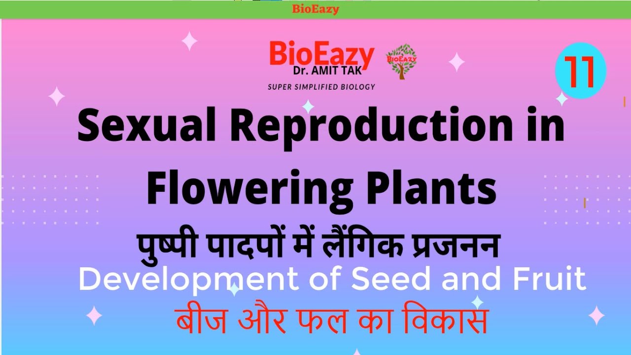 Sexual reproduction in flowering plants seed fruit apomixes parthenocarpy polyembryony