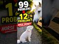 99 PROBLEMS⬇️12 PROBLEMS