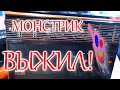 Восстановленный Верас РП-225