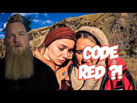 Folge 8 | 7 VS WILD CRASHED | Hat jemand Code Red gedrückt ? BEE REACTION
