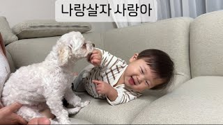 할머니네 강아지랑 살고싶어요! 애개육아가 엄청 좋아요! 멍멍이랑 너무 잘놀아요!