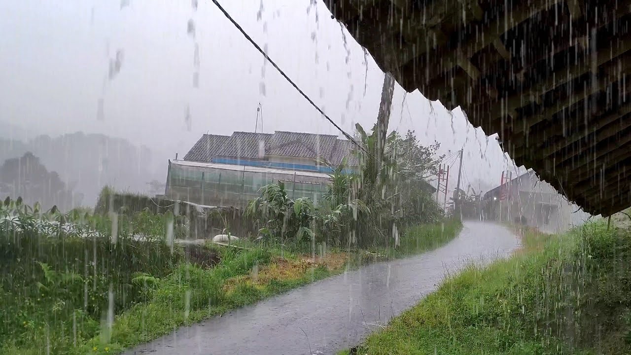 Медитация с чистым дождем – чистые природные звуки для глубокой концентрации