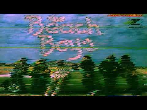 The Beach Boys Ding Dang Slowed And Reverb 