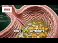 What Happens Inside Your Body When You Eat Mango
