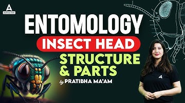 Entomology | Insect Head Structure & Parts | Short Concepts of Entomology By Pratibha Maam