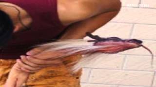 Real Dragon Discovered in China 2012 HD