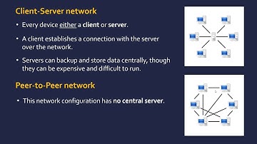 Network Types and Performance