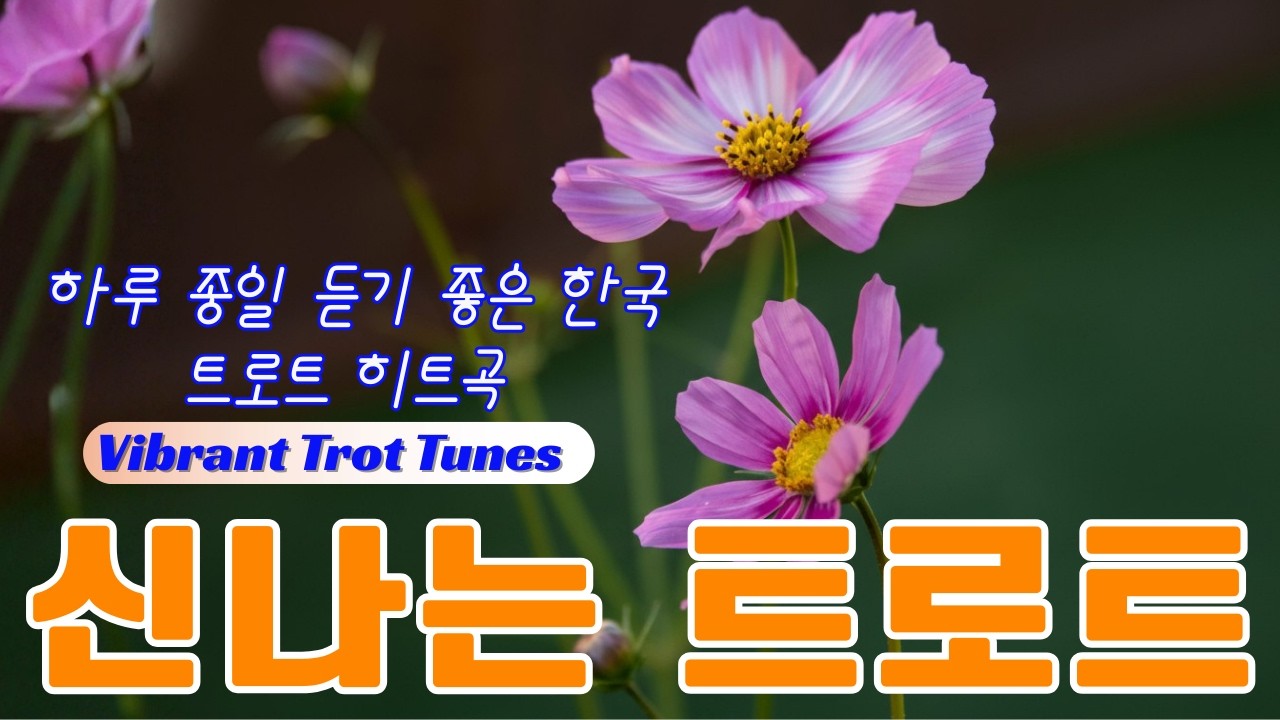 술술 넘어가는 트로트메들리 - 차안에서 운전하면서 듣기좋은 노래모음 - 주말에 휴식할때 듣는음악- 신나는 노래모음 댄스곡 화려한 화면