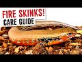 FIRE SKINK CARE GUIDE!