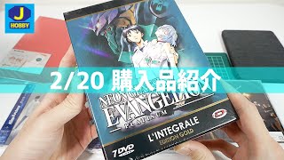 エヴァンゲリオンのDVD-BOXやキンプリのCDなど【購入品紹介 2021年2月3週目】