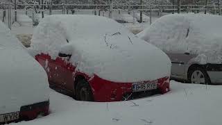 Unexpected Snowfall Covers Bucharest Overnight |  Nature and Relaxation screenshot 2