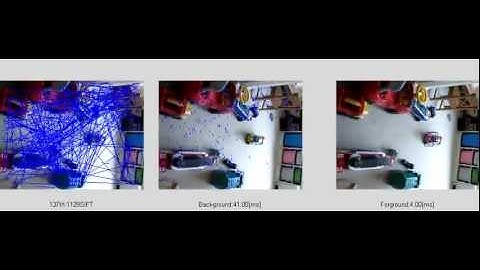 Real Time Object Detection from a Moving Camera