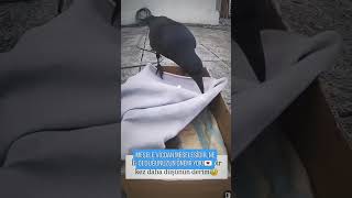 MESELE VİCDAN MESELESİDİR, NE OLDUĞUNUZUN ÖNEMİ YOK!💌 #öneçıkar #benionecikarnolur #keşfetteyiz