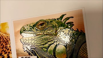 JV 240UV Printer and Varnish Machine by GCC