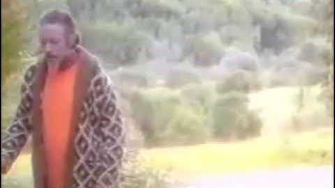 Vấn đề thế giới đang mắc phải (Part 2) - Alan Watts (TLL Vietsub)