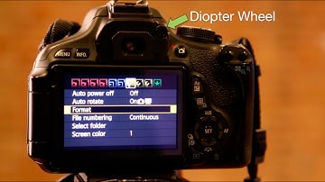 Setting Your Camera