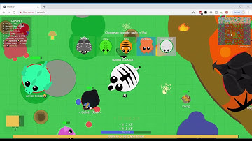 Mopeio Epic Zebra Kills Part 5