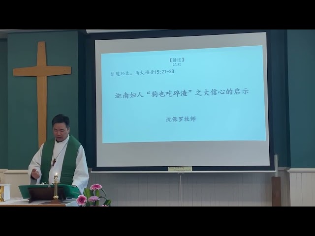 2026-08-16- 国语讲道- 迦南妇人“狗也吃碎渣”之大信心的启示  (马太福音15:21-28 )-沈保罗牧师