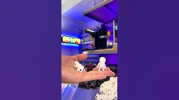 Want a CUSTOM 3D Print? Here