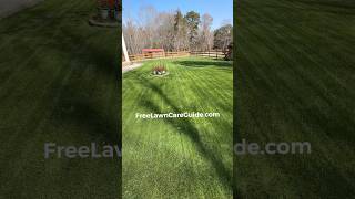 Dark green lawn is just crazy #bermudalawncare #lawncare
The lawns look amazing get ready because warm temps are pushing weeds. Dark green lawn is just crazy #bermudalawncare #lawncare