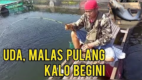mancing di KJA jatiluhur || Bareng uda Doni dari kota Padang, Part.2