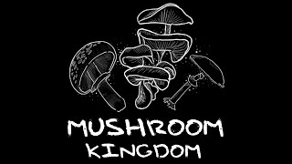 Mushroom Kingdom Playthrough @floast