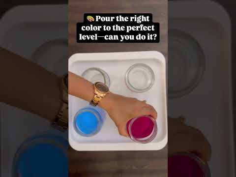 Montessori Water Transfer