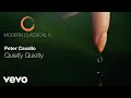 Peter Cavallo Quietly Quietly Official Music Video 