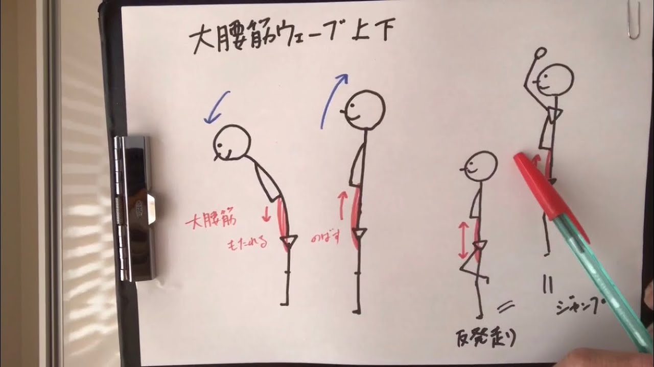 大腰筋ウェーブ上下ver.のやり方