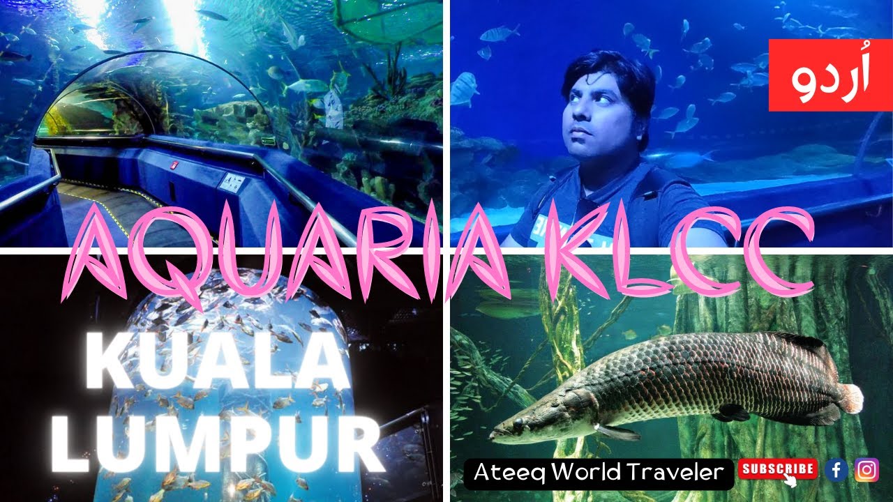 Aquaria KLCC in Kuala Lumpur aquarium Underwater Tunnel Malaysia