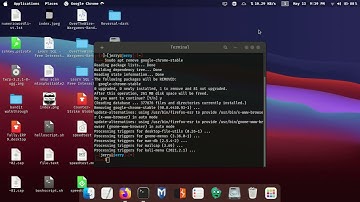 How to remove/uninstall programs from Ubuntu using command line(Beginner