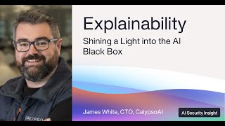Explainability: Shining a Light into the AI Black Box with CalypsoAI