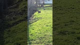 IMG 0202