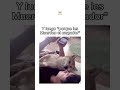 Ahora sí tiene motivo jajajaja #humor #dog  #perros #bendición #memes