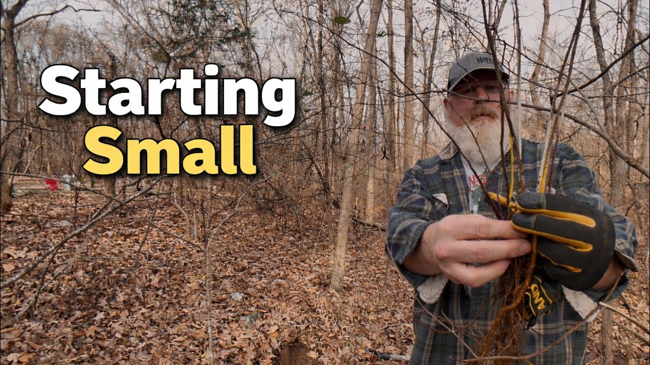 Starting Small: Planting Trees and Getting Things Started. 