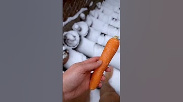 How to Build a SnowMan☃️❄️