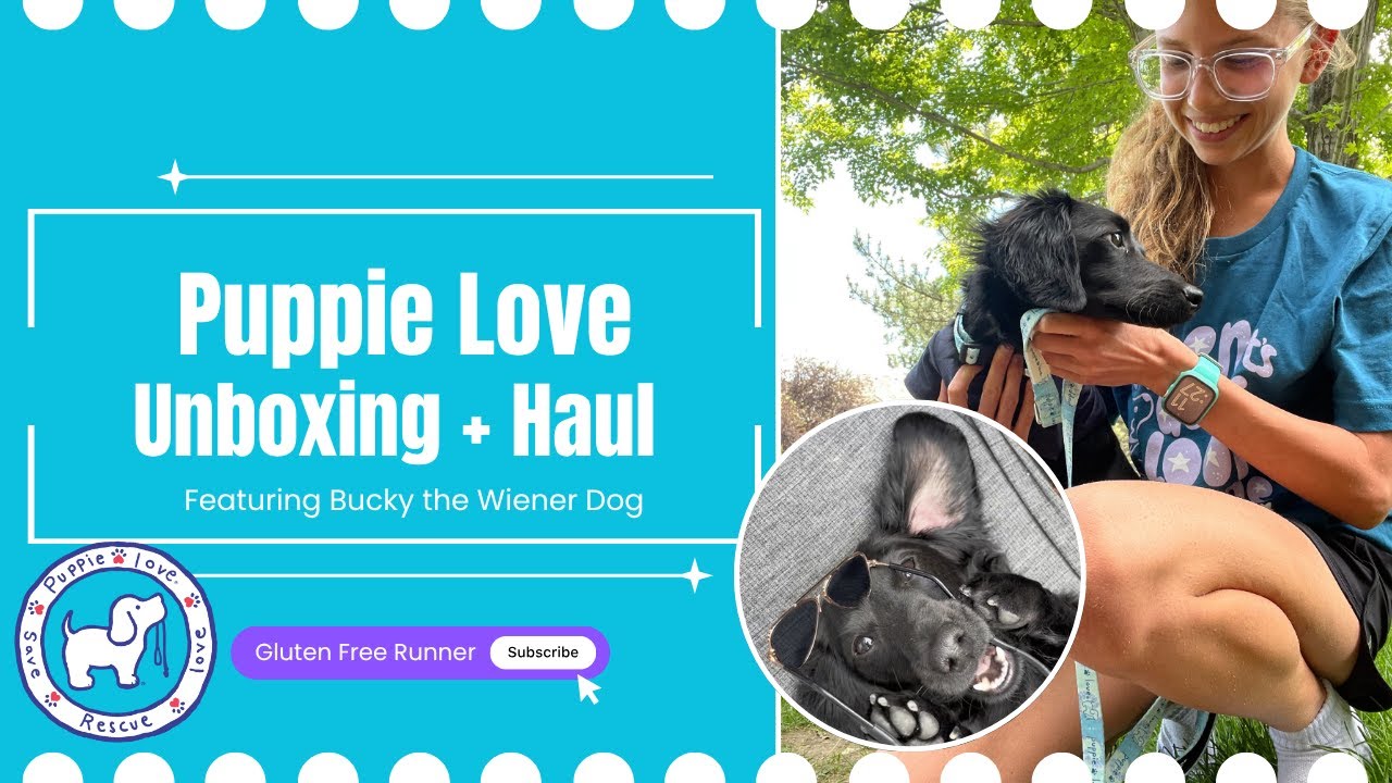 Puppie Love Haul Matching With My Dog Discount Code YouTube puppie-love-haul-matching-with-my-dog-discount-code-youtube