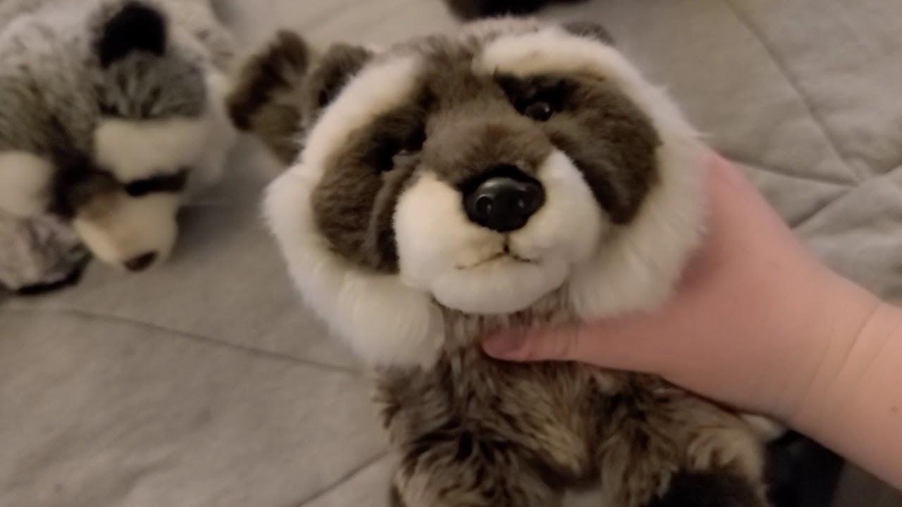 My Webkinz Raccoon Collection 🦝