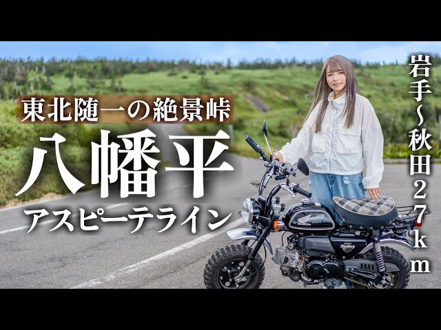 おおつぶ様 TOSHINOBU KUBOTA 40th Anniversary Tour Goods🥦 👔Big up! Tシャツ