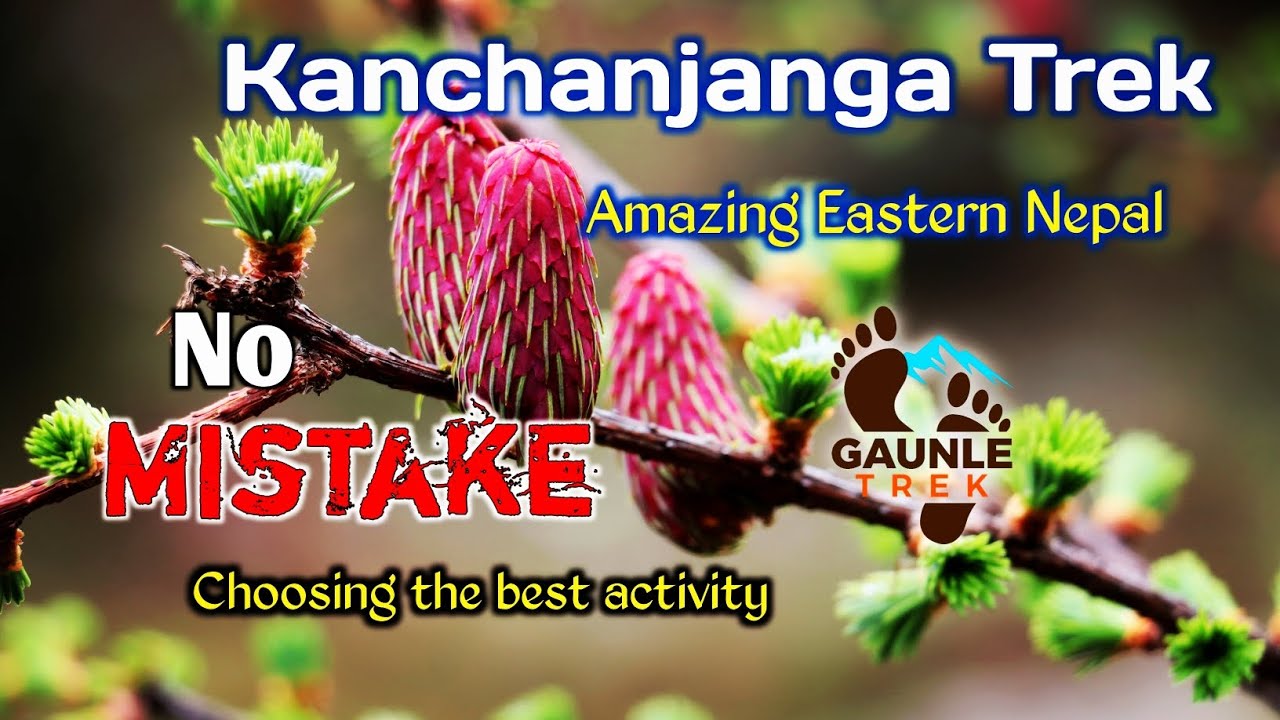 Trekking to Kanchanjunga|| Nepal's Remote Area|| Eastern Nepal || 