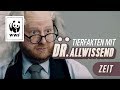Tierfakten: Lebenserwartung &amp; Tragezeiten von Tieren | WWF Deutschland