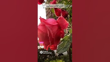 اقترب للناس حسابهم #تلاوة بالترتيل العراقي للشيخ احمد النفيس