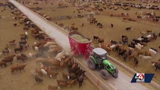 Agriculture Secretary responds as New World Screwworm spreads beyond Texas