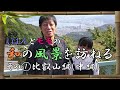 ProjectJ 和訪0001比叡山編中編