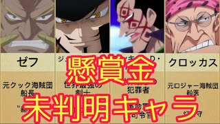 ワンピース 懸賞金額不明の猛者25人まとめ One Piece Youtube